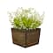 10" Lily-Of-The-Valley Flowers In Wood Box